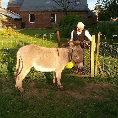 Le Havre De Samara * Nurlu