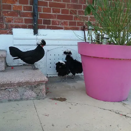 Semesterbostad Le Havre De Samara *