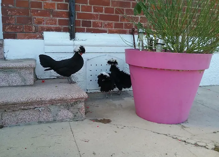 Holiday home Le Havre De Samara *